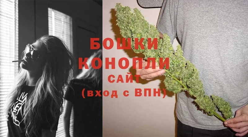 цены   Алейск  Канабис OG Kush 